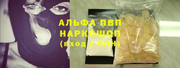 стафф Бородино