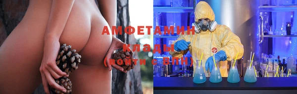 крисы Богданович