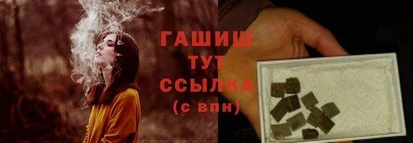 стафф Бородино