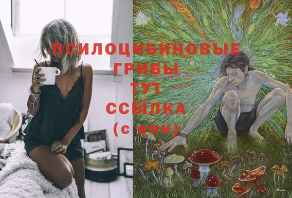 стафф Бородино