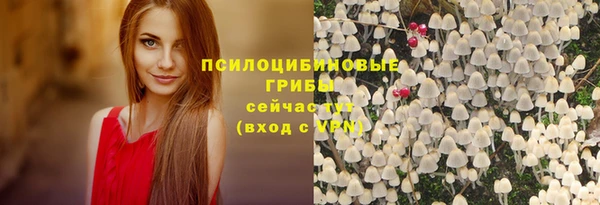соль ск Богородицк