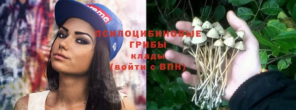 стафф Бородино