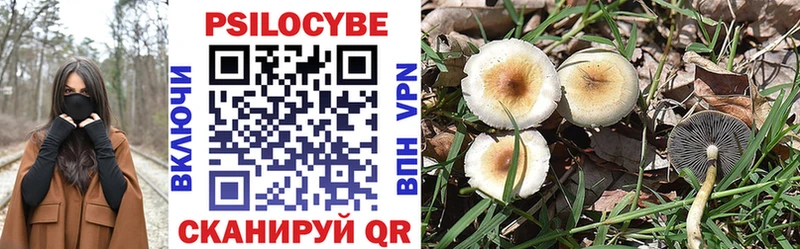 Псилоцибиновые грибы MAGIC MUSHROOMS  где продают   Березники 