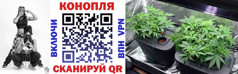 дарнет шоп мориарти Telegram Каннабис семена Березники
